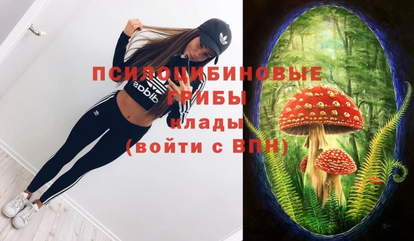 скорость Аркадак
