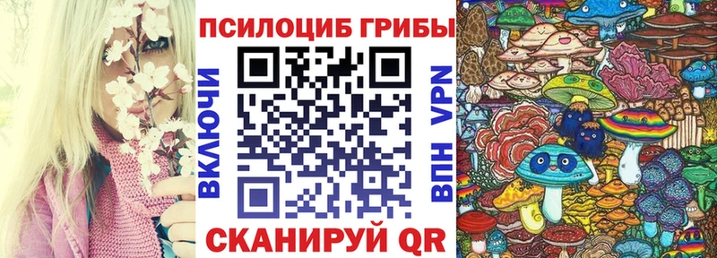 Галлюциногенные грибы Cubensis  omg ссылки  Мензелинск 